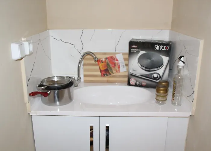 Проживание в семье Estampolis *