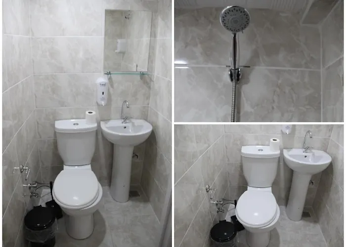 Проживание в семье Estampolis